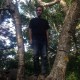 Hidendra