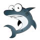 kodeshark
