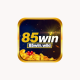 85winwiki1