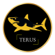 Terus_Company