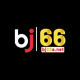 bj66a_net