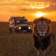 bandhavgarh