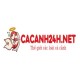 cacanh24h