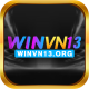winvn13