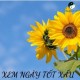 Xem ngày tốt xấu
