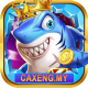 caxengm