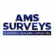 AMS SURVEYS