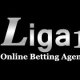 liga178gamin