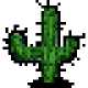 kaktus