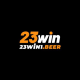 23WIN