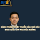 CEO BK8