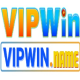 vipwin_name