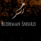 Bushmansafari