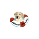 Labrador Life Line
