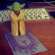 Avatar of alim