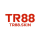 tr88skin1