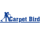 Carpet Bird
