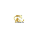 hcgoldencityvn