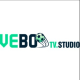 VEBO TV