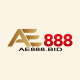 ae888bid1