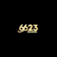 6623digital