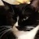meowts