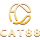 cat88