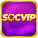 socvipdev1