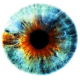 Color Blind Test