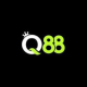q88aorg1