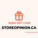 storesurvey