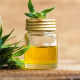 CBD Brain Hack