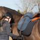 western_saddle