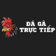 Đá gà trực tiếp