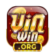 VinWin