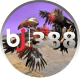 Nhà cái BJ388