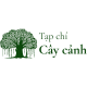 Tạp Chí Cây Cảnh