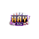 1Haywin