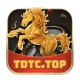 TDTC