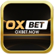 oxbetnow1