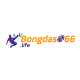 bongdaso66life1