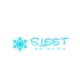 Sleet