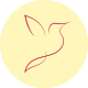 Parwaz