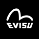 Evisu_20
