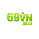 69vnirish1