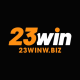 g23winwbiz