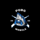 pubmobilevetcom