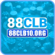 88CLB10 ORG