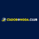 Cá độ bóng đá club