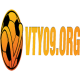vty09org1